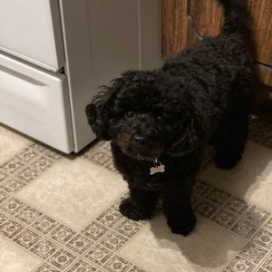 Meet your Posher, Stacey